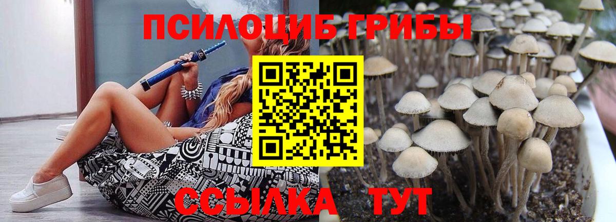 Углич  Галлюциногенные грибы Cubensis  где продают наркотики  Вход с VPN 