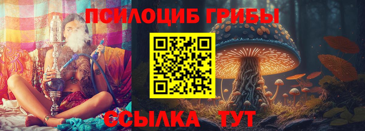 Галлюциногенные грибы прущие грибы Углич